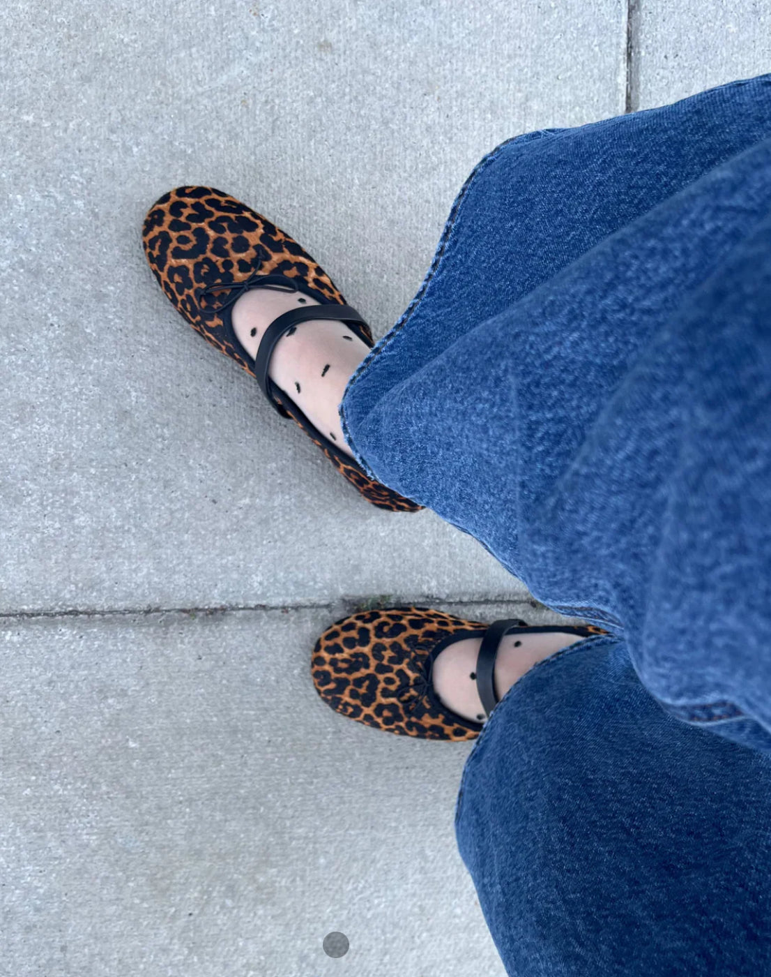 Unified - Sheer Dots Sock - Pepper