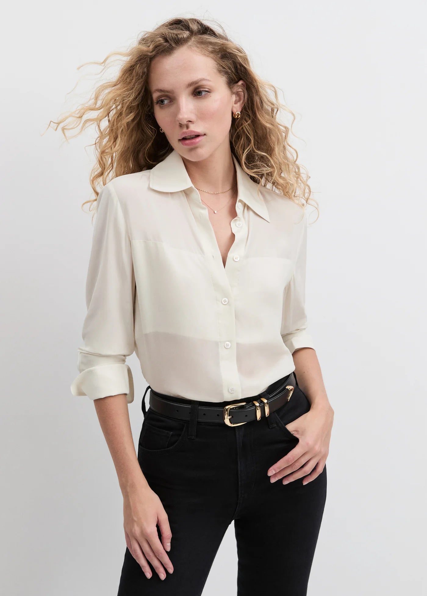 Favorite Daughter - The Sheer Sophistication Top