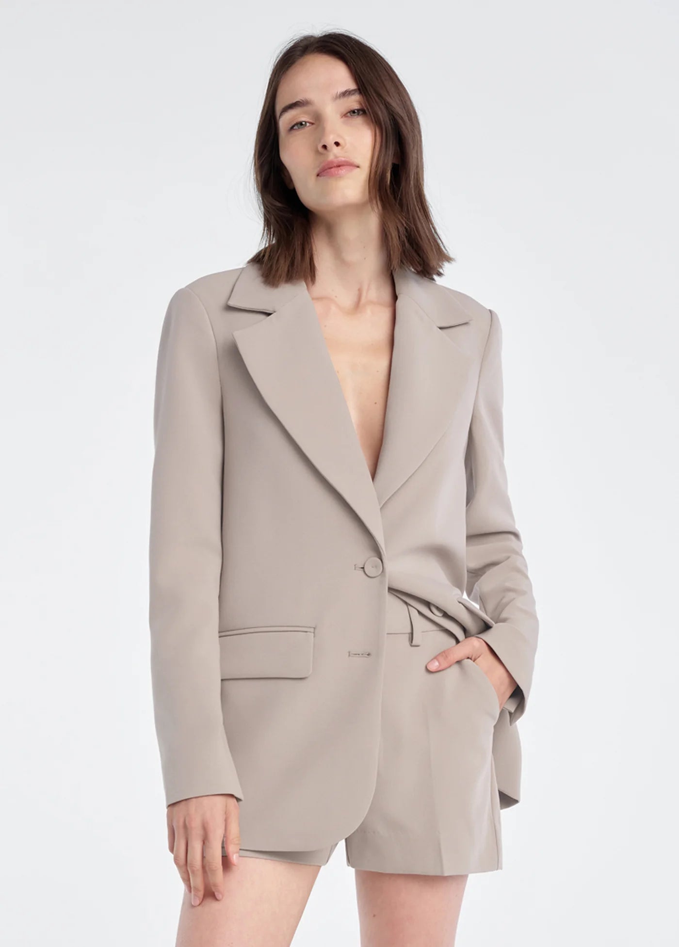 Favorite Daughter - The Favorite Oversized Blazer - Soft Taupe